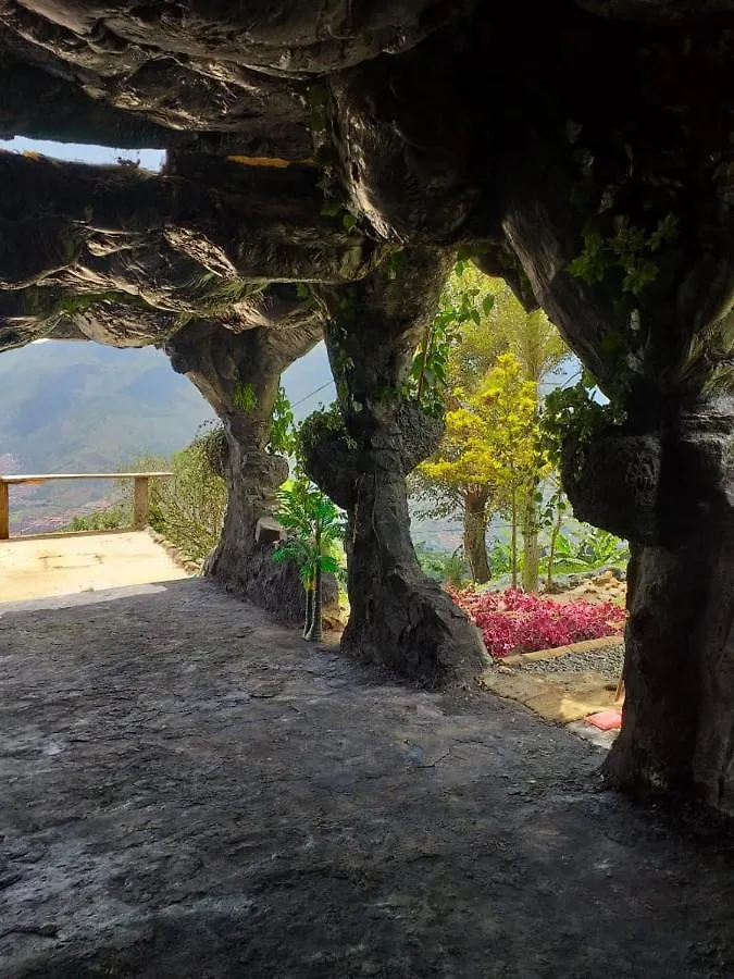 Luxury tent Glamping Spa & Coffee Tour Medellin Colombia
