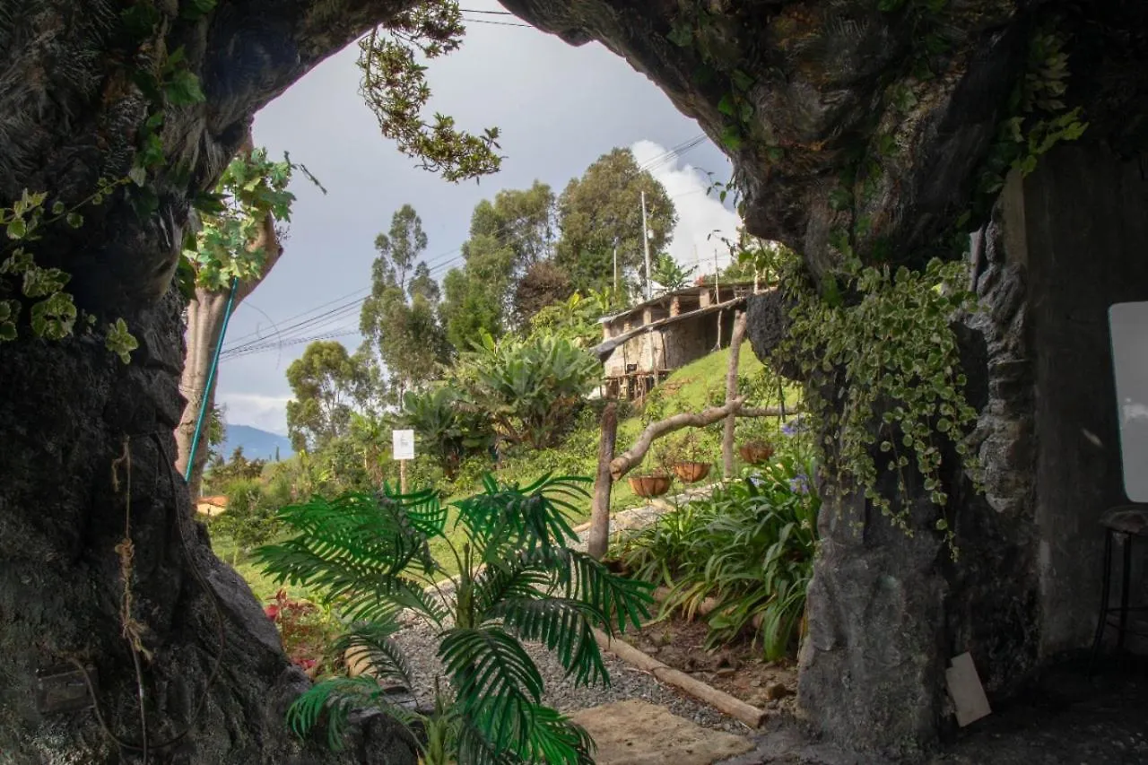 Glamping Spa & Coffee Tour Medellin Luxury tent