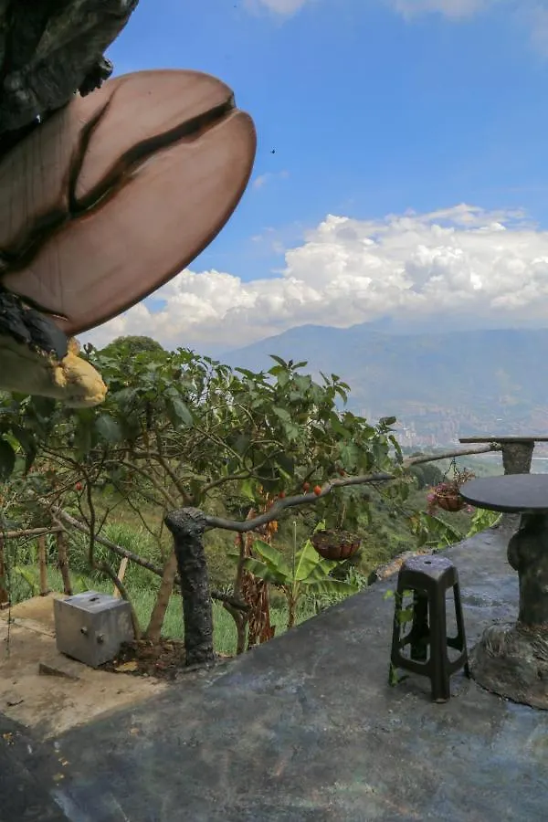 Glamping Spa & Coffee Tour Medellin
