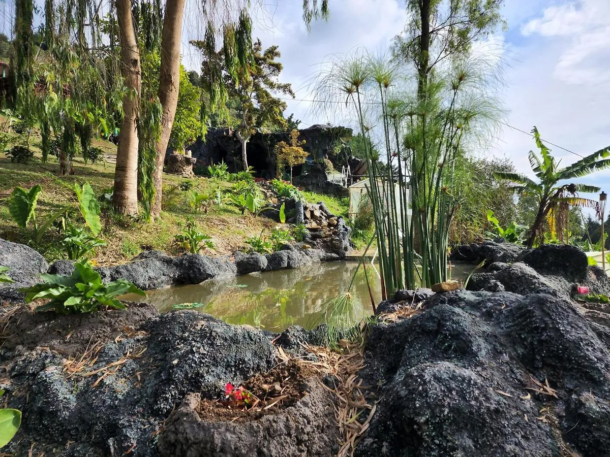 Glamping Spa & Coffee Tour Medellin 0*,  Colombia
