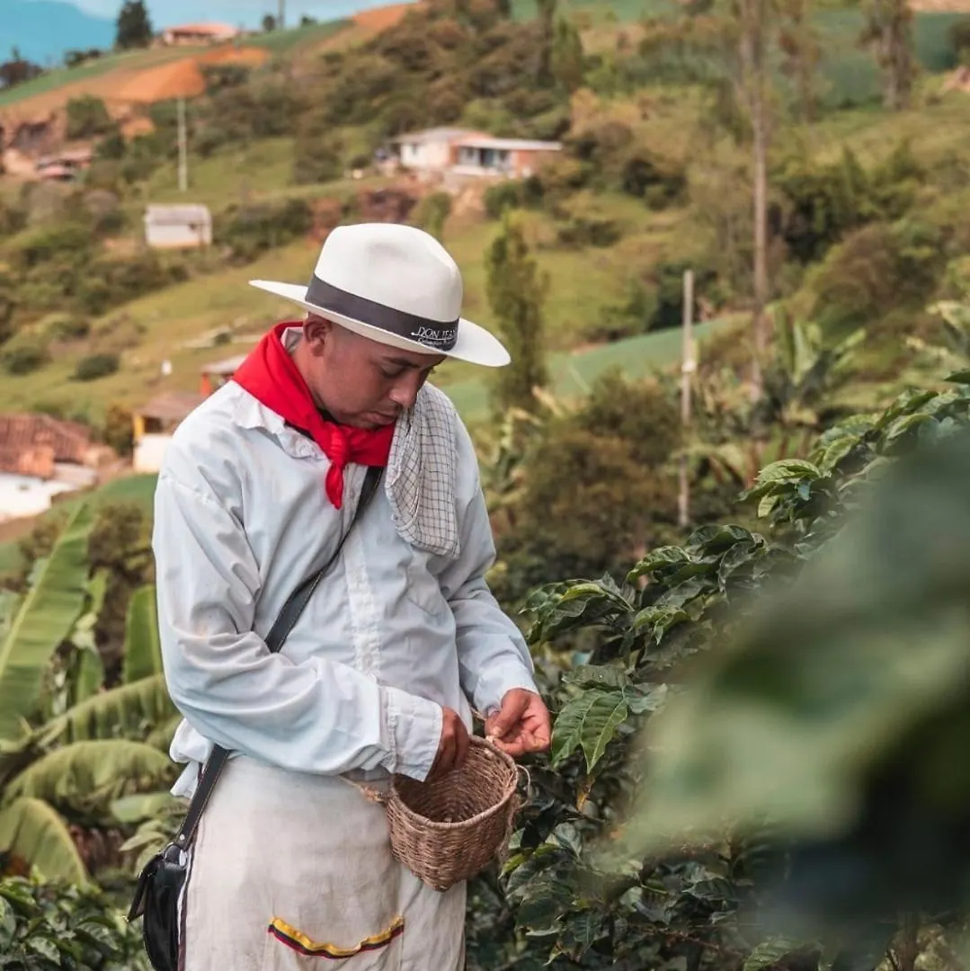 Luxury tent Glamping Spa & Coffee Tour Medellin Colombia